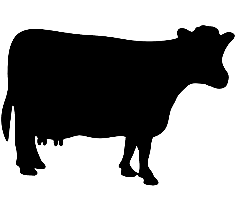 vaca